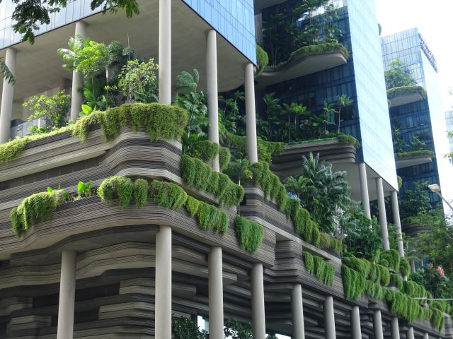 Singapour